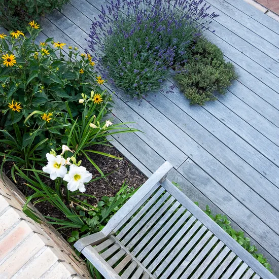 Zahradní mobiliář Zahradní mobiliář